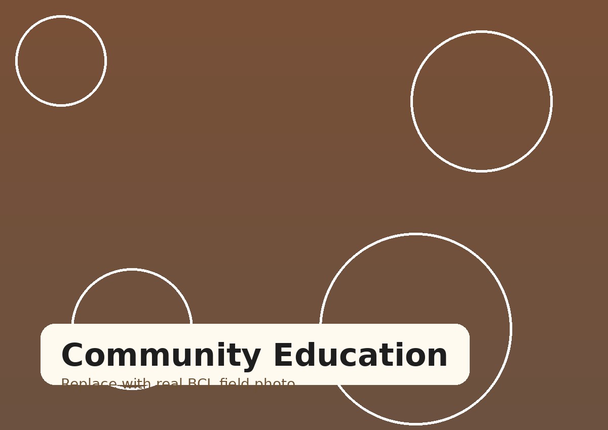 Education