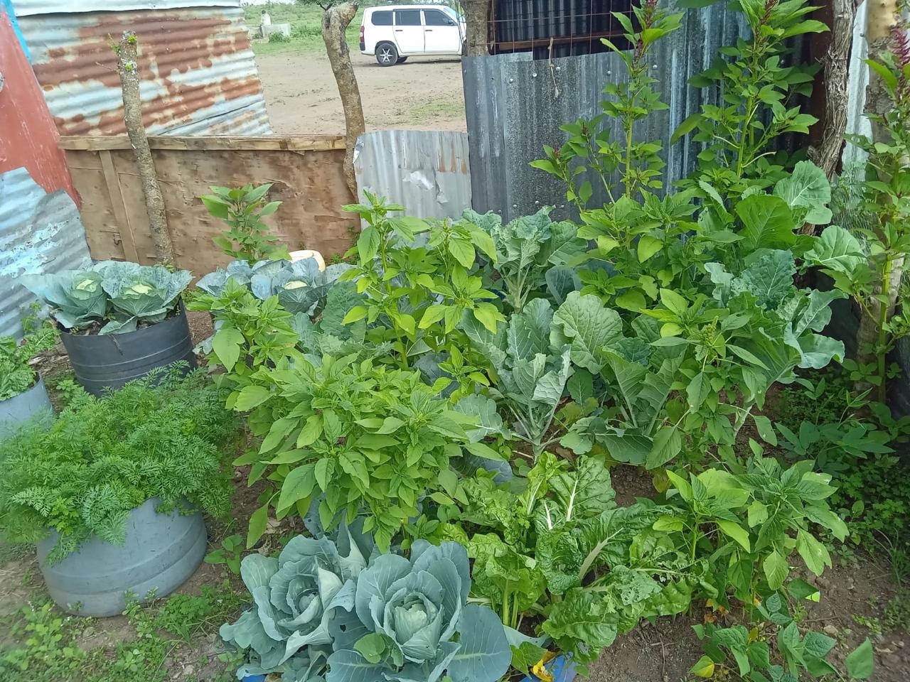 Kitchen Gardens Gallery