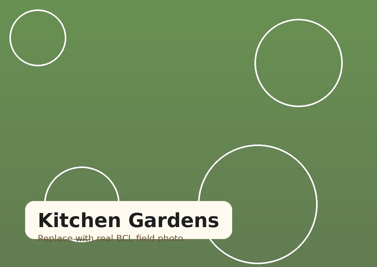 Kitchen gardens